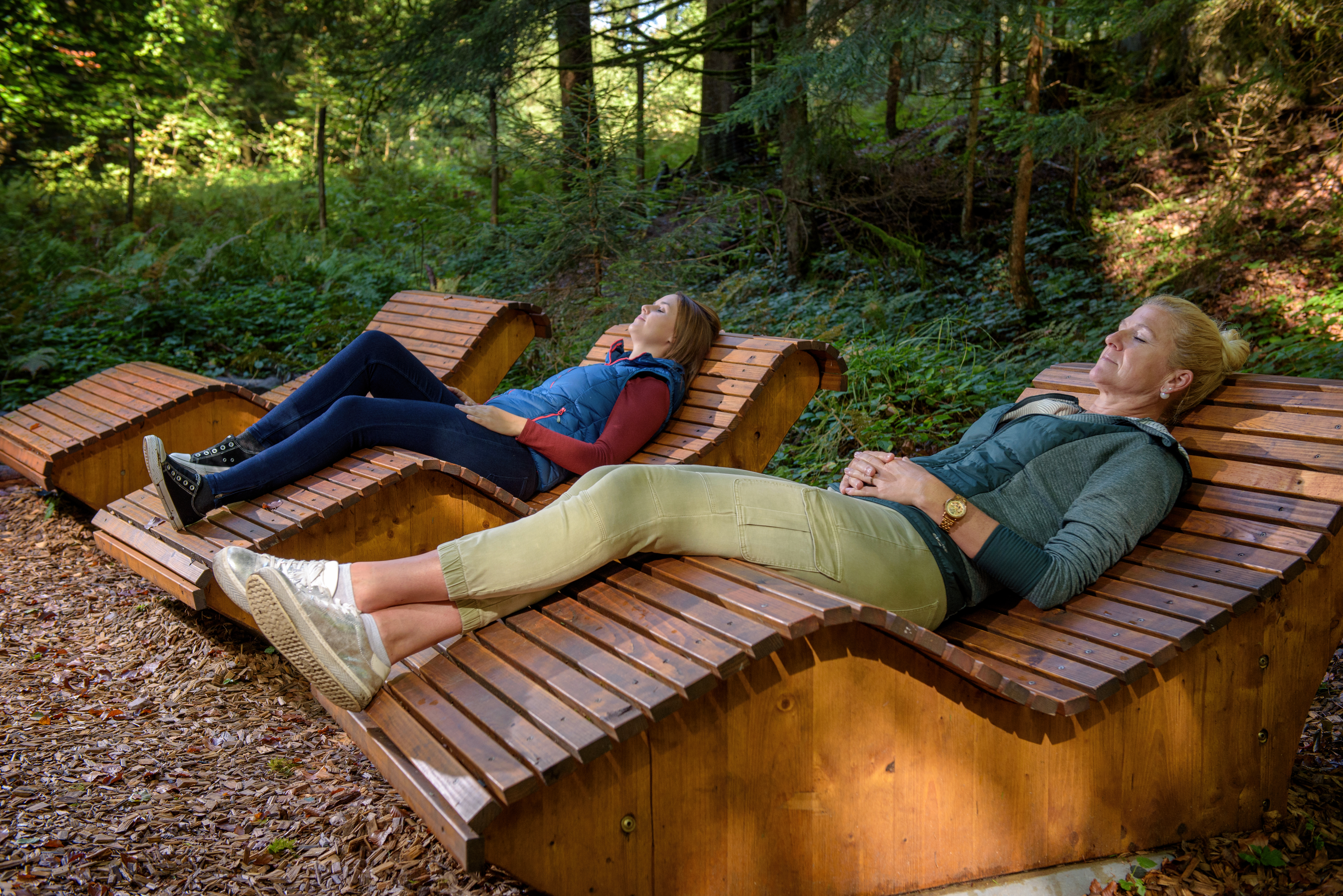 Seminarraum: Ruhepause in der Waldwelt Allgäu - Waldräume Allgäu