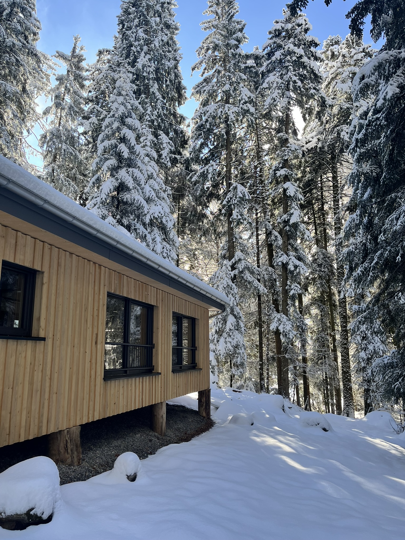 Seminarraum: die Waldräume in winterlicher Umgebung - Waldräume Allgäu