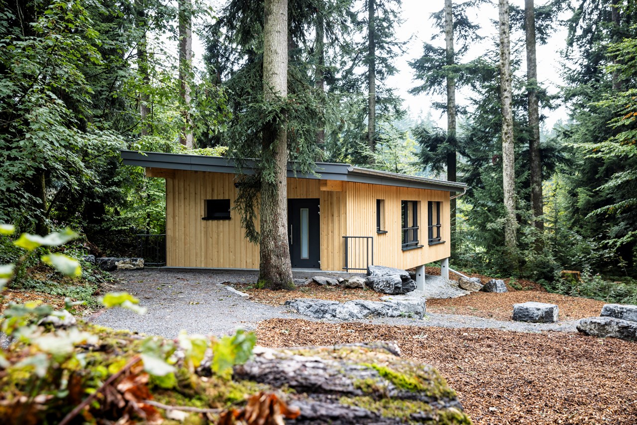 Waldräume Allgäu Räume Waldraum Fichte