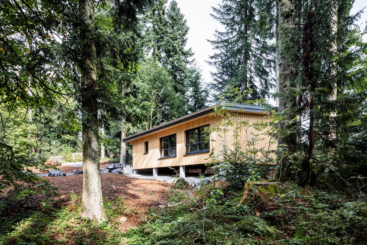 Waldräume Allgäu Räume Waldraum Tanne