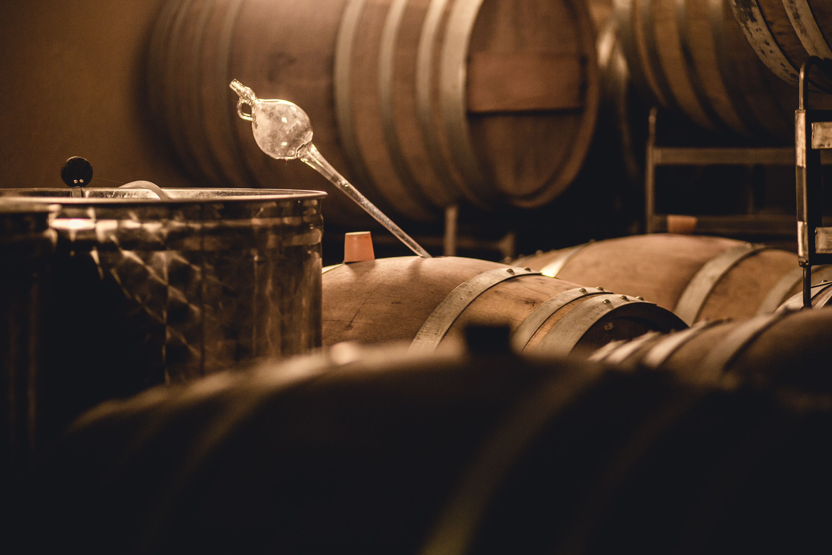 Seminarraum: Bio Weingut Georgium