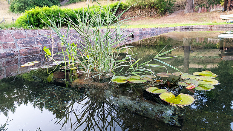 Seminarraum: Badeteich - Seminarhaus SandsteinHof