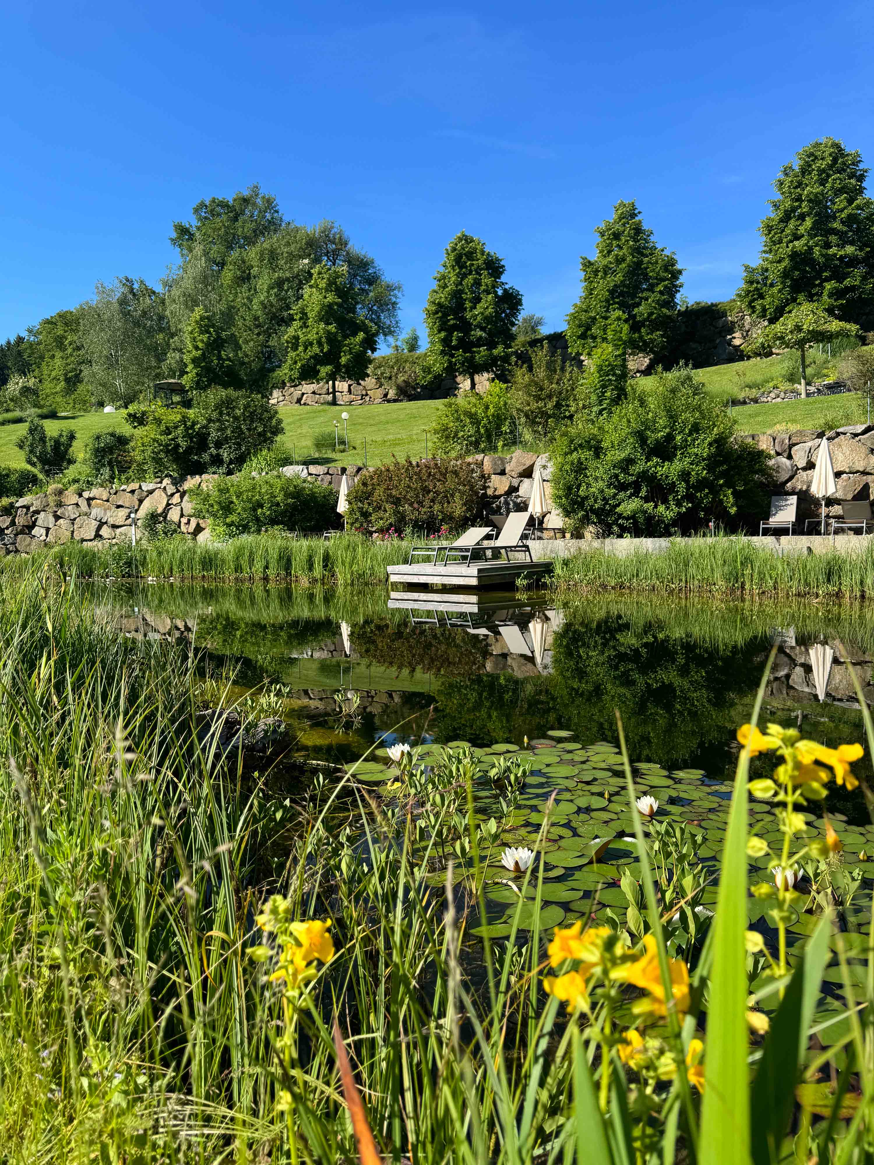 Tagungshotels - Au (Baumgartenberg, Saxen) - RelaxGarten - RelaxResort Kothmühle