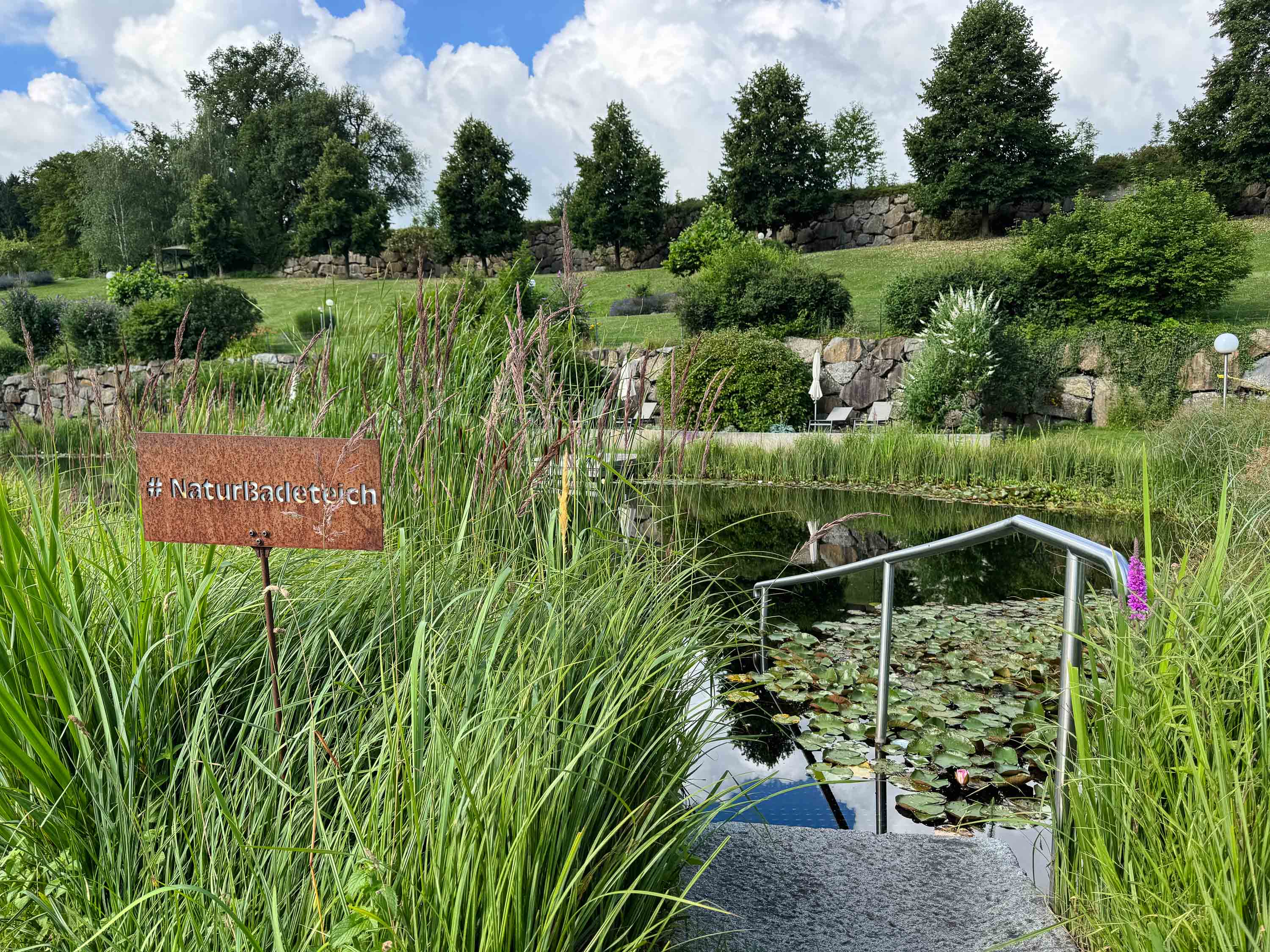 Tagungshotels - nächstes Hotel - Bezirk Amstetten - Naturbadeteich - RelaxResort Kothmühle