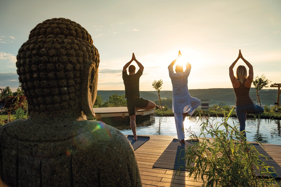 Seminarraum: Yoga mit dem indischen Yogi - Larimar Hotel Stegersbach