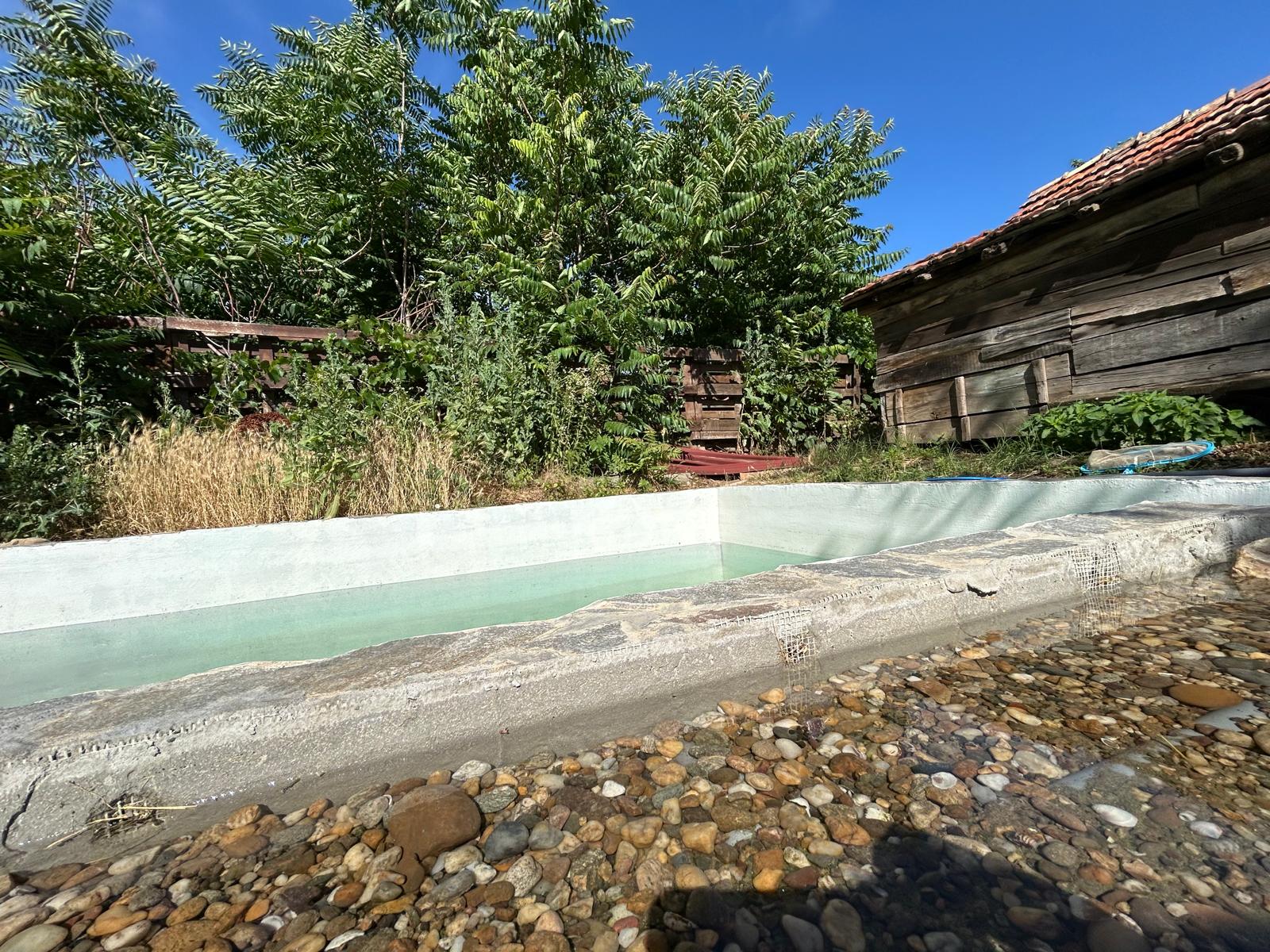 Seminarraum: Pool - Harmonic Hooves - Retreat Location 