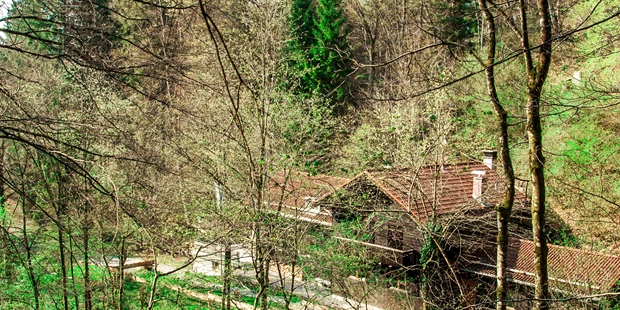 Tagungshotels - Beamer und Leinwand - Projekt Draussen