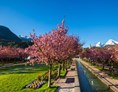 Seminarraum: AlpenCongress Berchtesgaden