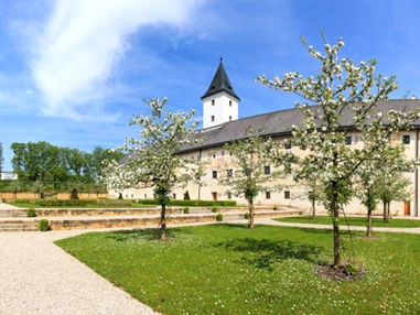 Seminarraum: Landschloss Parz