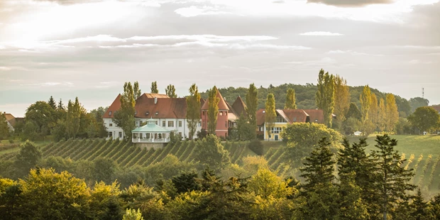 Tagungshotels - Beamer und Leinwand - Weinschloss mitten in den Rebgärten - Weinschloss Thaller