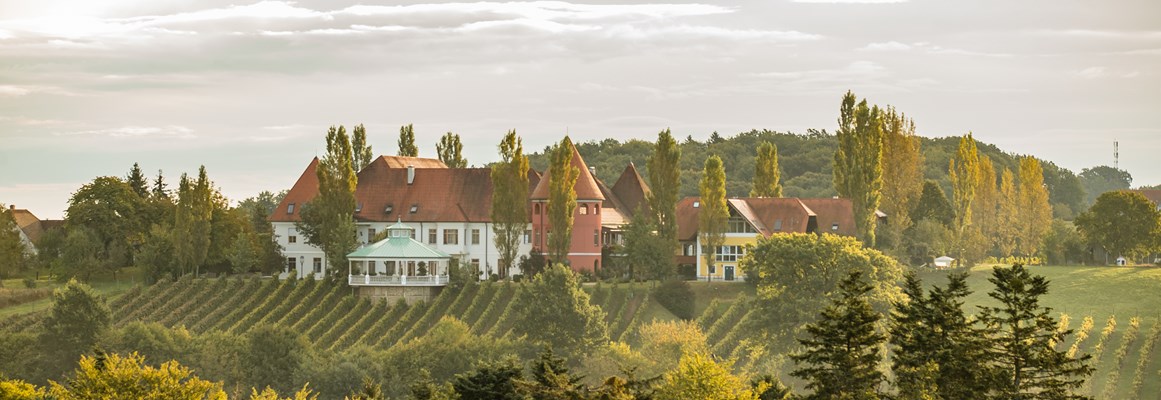Seminarraum: Weinschloss mitten in den Rebgärten - Weinschloss Thaller