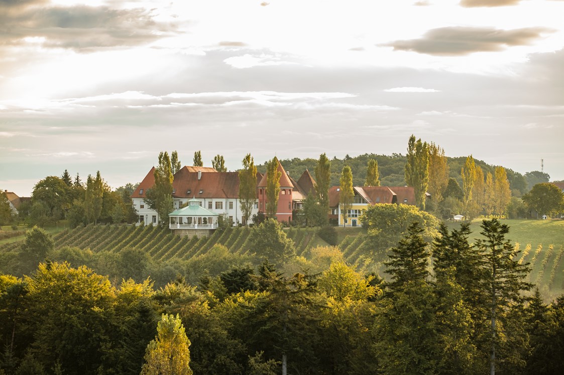 Seminarraum: Weinschloss mitten in den Rebgärten - Weinschloss Thaller