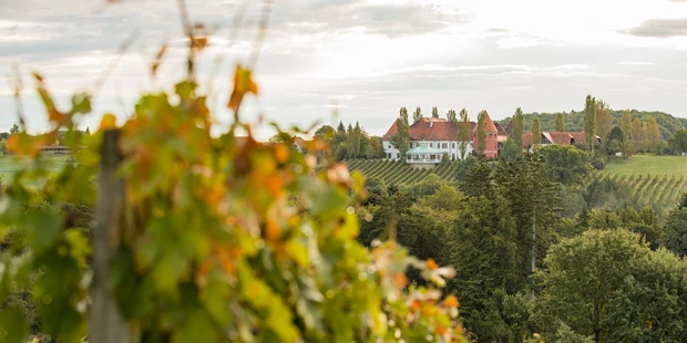 Tagungshotels - Beamer und Leinwand - Weinschloss Fernansicht - Weinschloss Thaller