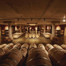 Seminarraum: Fasskeller im Weinschloss - Weinschloss Thaller