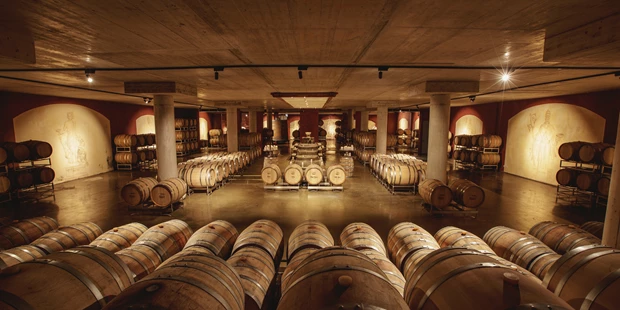 Tagungshotels - Beamer und Leinwand - Fasskeller im Weinschloss - Weinschloss Thaller