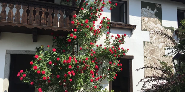 Tagungshotels - Beamer und Leinwand - Seminarhaus Waldhof