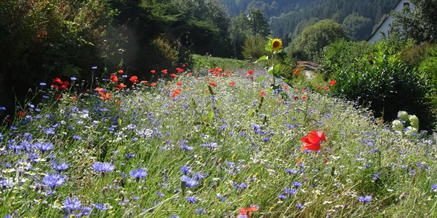 Tagungshotels - Beamer und Leinwand - The Conscious Farmer Trainingcenter