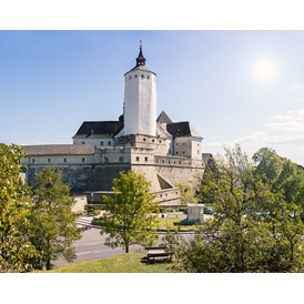 Seminarraum: Lennard Lindner - Burg Forchtenstein