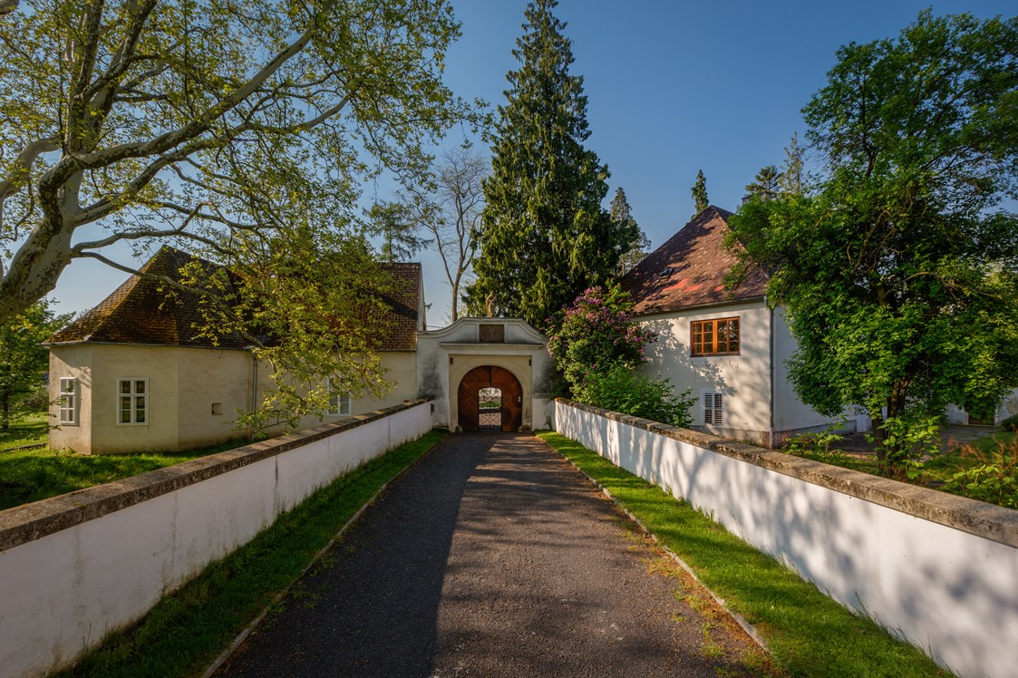 Seminarraum: Andreas Hafenscher - Schloss Lackenbach