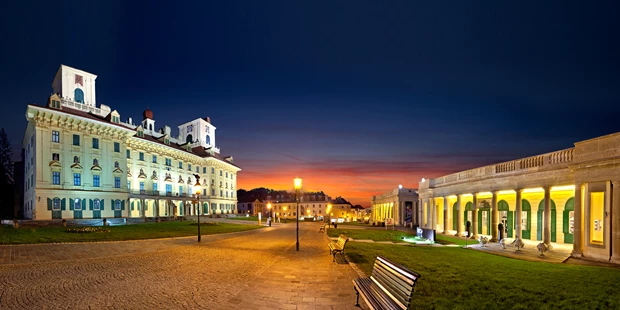 Tagungshotels - Abhörsicher: Einzelne Räume - Julius Silver - Schloss Esterházy