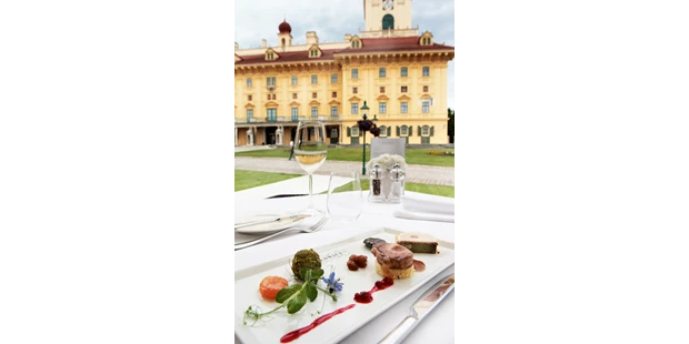 Tagungshotels - Abhörsicher: Einzelne Räume - Jozef Barinka - Schloss Esterházy