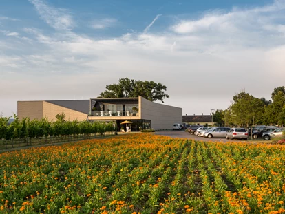 Tagungshotels - Abhörsicher: Einzelne Räume - Andreas Hafenscher - Kalandahaus im Weingut Esterházy