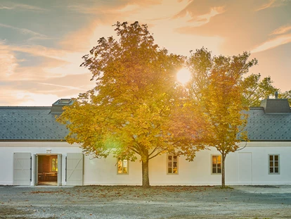 Tagungshotels - Abhörsicher: Einzelne Räume - Paul Szimak - Kalandahaus im Weingut Esterházy