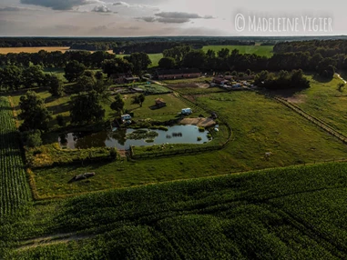 Seminarraum: Uriger Bauernhof in Alleinlage Pferdehof Kneipe Saal