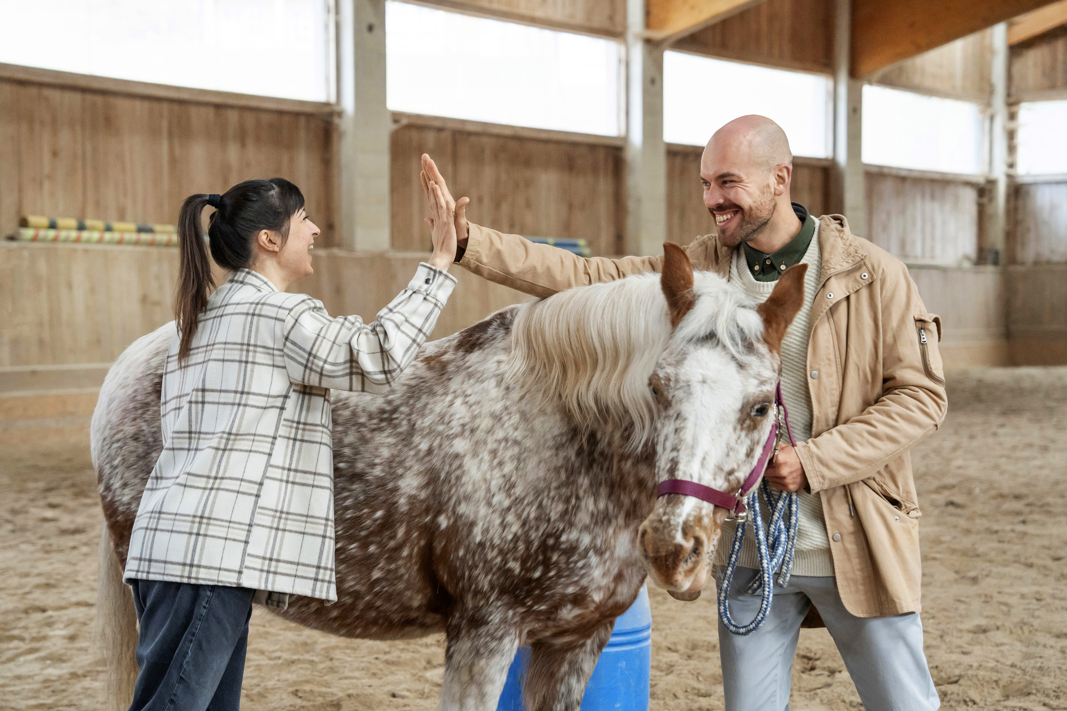 Seminarraum: Pferdegstütztes Coaching für Führungskräfte am Reiterhof Narzissendorf Zloam - Narzissendorf Zloam - Grundlsee