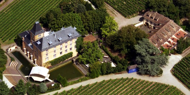 Tagungshotels - Art der Location: Tagungsstätte - Luftaufnahme - Hotel Schloss Edesheim